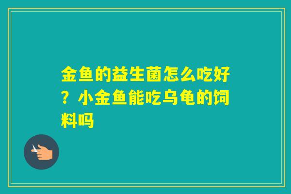 金鱼的益生菌怎么吃好?小金鱼能吃乌龟的饲料吗 金鱼的益生菌怎么吃好?小金鱼能吃乌龟的饲料吗