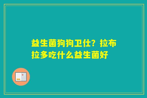 益生菌狗狗卫仕？拉布拉多吃什么益生菌好