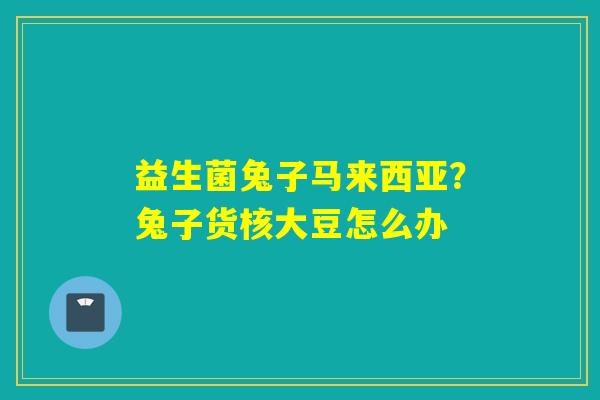 益生菌兔子马来西亚？兔子货核大豆怎么办