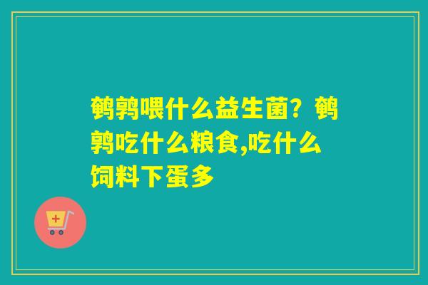 鹌鹑喂什么益生菌？鹌鹑吃什么粮食,吃什么饲料下蛋多