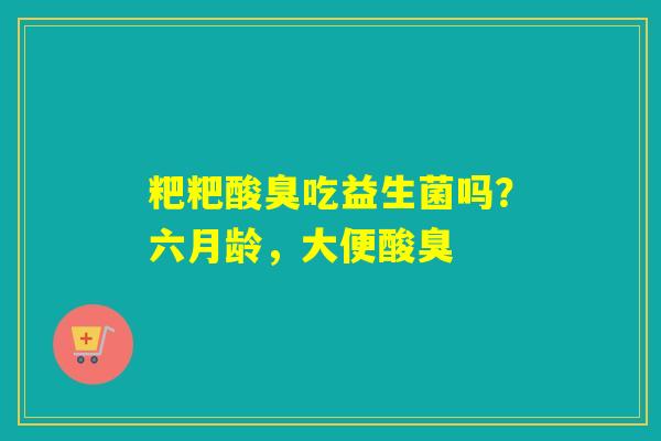 粑粑酸臭吃益生菌吗？六月龄，大便酸臭