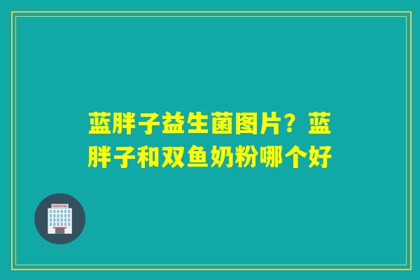 蓝胖子益生菌图片？蓝胖子和双鱼奶粉哪个好