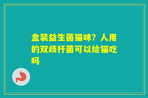 盒装益生菌猫咪？人用的双歧杆菌可以给猫吃吗