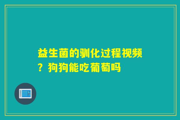 益生菌的驯化过程视频?狗狗能吃葡萄吗 益生菌的驯化过程视频?狗狗能吃葡萄吗
