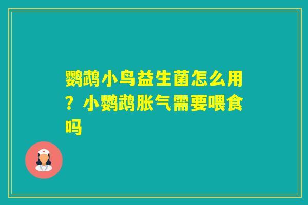 鹦鹉小鸟益生菌怎么用？小鹦鹉需要喂食吗