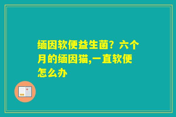 缅因软便益生菌？六个月的缅因猫,一直软便怎么办