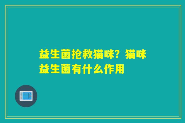 益生菌抢救猫咪?猫咪益生菌有什么作用 益生菌抢救猫咪?猫咪益生菌有什么作用