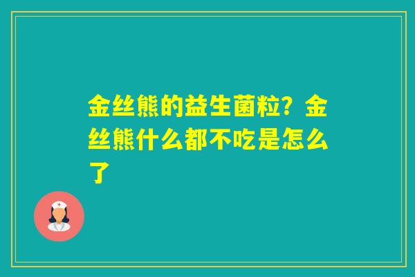金丝熊的益生菌粒?金丝熊什么都不吃是怎么了 金丝熊的益生菌粒?金丝熊什么都不吃是怎么了