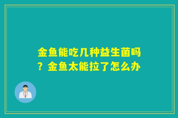 金鱼能吃几种益生菌吗？金鱼太能拉了怎么办