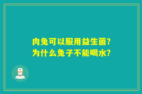 肉兔可以服用益生菌？为什么兔子不能喝水？