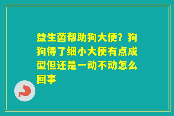 益生菌帮助狗大便？狗狗得了细小大便有点成型但还是一动不动怎么回事