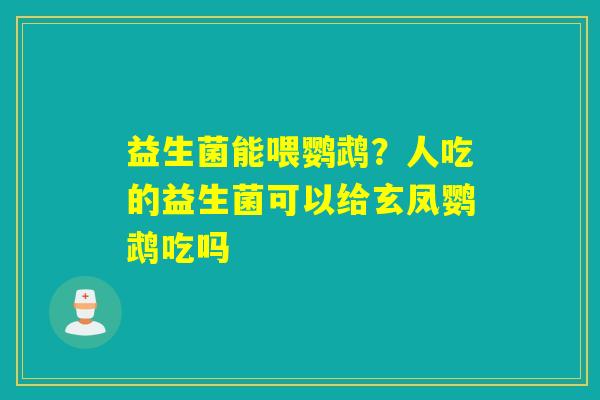 益生菌能喂鹦鹉？人吃的益生菌可以给玄凤鹦鹉吃吗