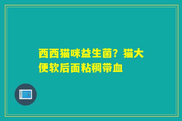 西西猫咪益生菌？猫大便软后面粘稠带