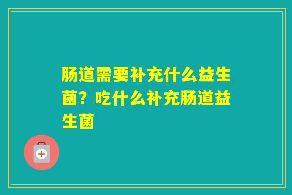 肠道需要补充什么益生菌？吃什么补充肠道益生菌