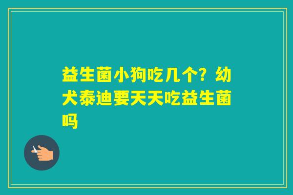 益生菌小狗吃几个？幼犬泰迪要天天吃益生菌吗