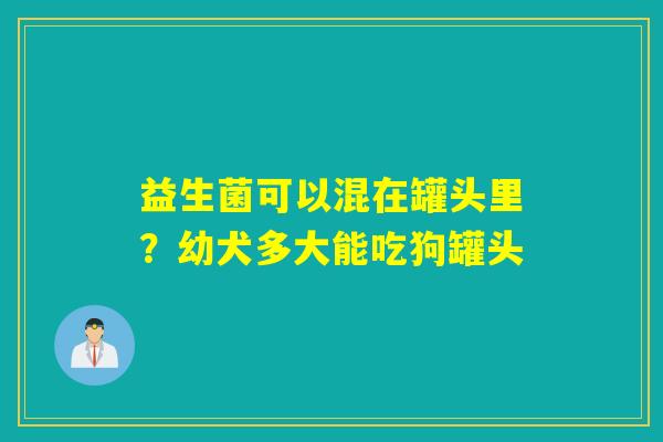 益生菌可以混在罐头里？幼犬多大能吃狗罐头