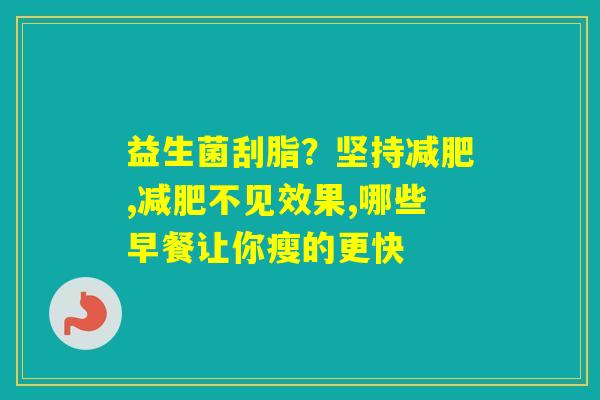 益生菌刮脂？坚持,不见效果,哪些早餐让你瘦的更快