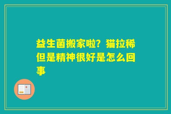 益生菌搬家啦？猫拉稀但是精神很好是怎么回事