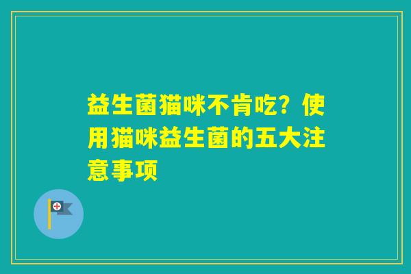 益生菌猫咪不肯吃？使用猫咪益生菌的五大注意事项