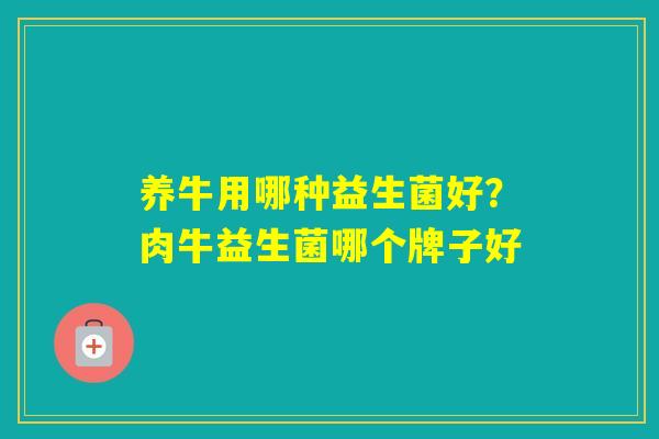 养牛用哪种益生菌好？肉牛益生菌哪个牌子好