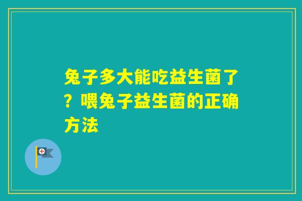 兔子多大能吃益生菌了？喂兔子益生菌的正确方法