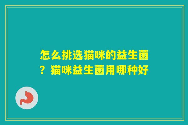 怎么挑选猫咪的益生菌？猫咪益生菌用哪种好