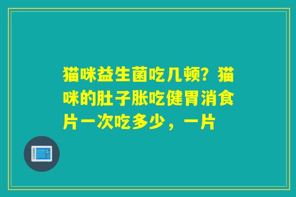 猫咪益生菌吃几顿？猫咪的肚子胀吃健胃消食片一次吃多少，一片