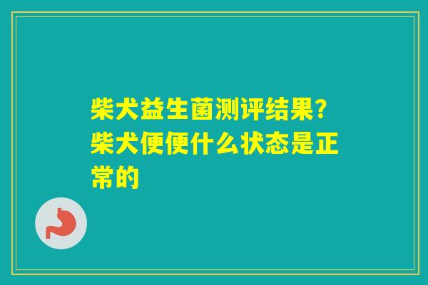 柴犬益生菌测评结果?柴犬便便什么状态是正常的 柴犬益生菌测评结果?柴犬便便什么状态是正常的