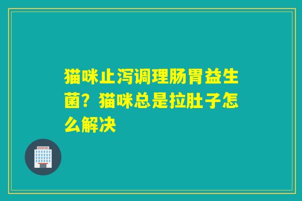 猫咪止泻调理肠胃益生菌?猫咪总是拉肚子怎么解决 猫咪止泻调理肠胃益生菌?猫咪总是拉肚子怎么解决