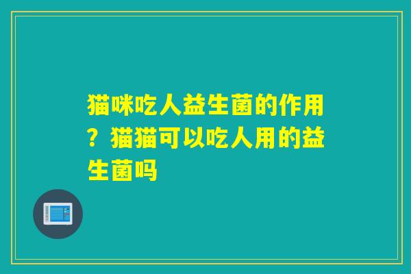 猫咪吃人益生菌的作用?猫猫可以吃人用的益生菌吗 猫咪吃人益生菌的作用?猫猫可以吃人用的益生菌吗