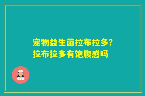 宠物益生菌拉布拉多？拉布拉多有饱腹感吗