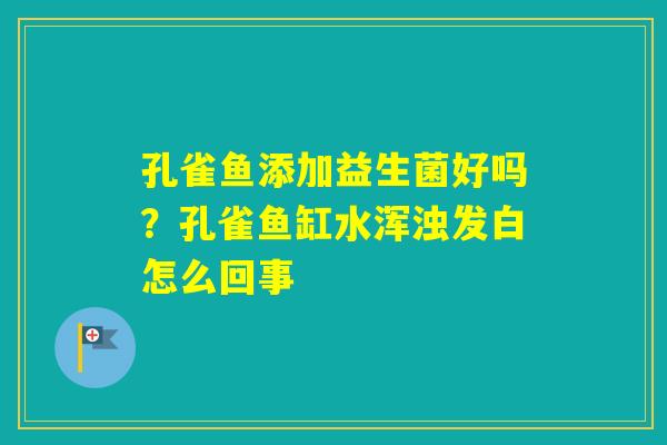 孔雀鱼添加益生菌好吗？孔雀鱼缸水浑浊发白怎么回事