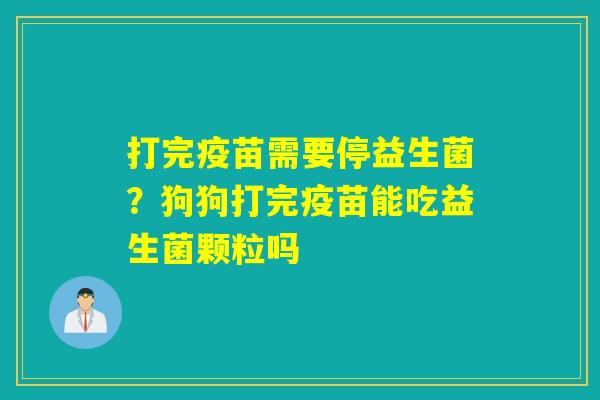 打完疫苗需要停益生菌？狗狗打完疫苗能吃益生菌颗粒吗