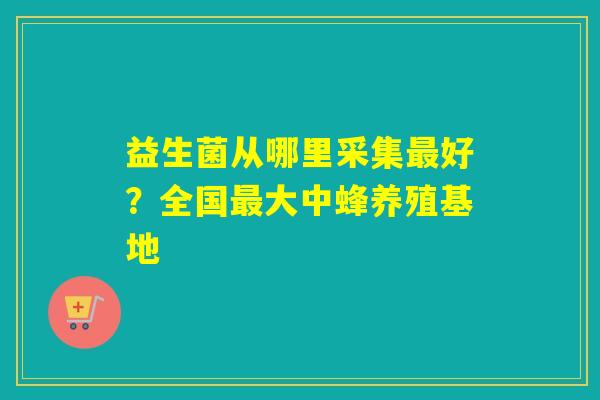 益生菌从哪里采集好？全国大中蜂养殖基地