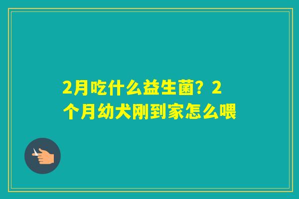 2月吃什么益生菌?2个月幼犬刚到家怎么喂 2月吃什么益生菌?2个月幼犬刚到家怎么喂