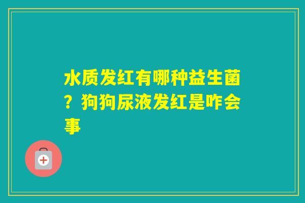 水质发红有哪种益生菌？狗狗尿液发红是咋会事