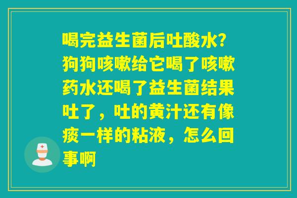 喝完益生菌后吐酸水？狗狗给它喝了药水还喝了益生菌结果吐了，吐的黄汁还有像痰一样的粘液，怎么回事啊