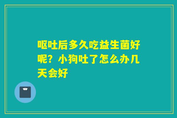 后多久吃益生菌好呢？小狗吐了怎么办几天会好