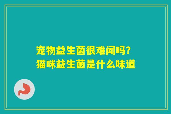 宠物益生菌很难闻吗？猫咪益生菌是什么味道