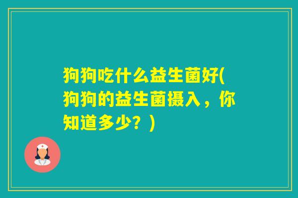 狗狗吃什么益生菌好(狗狗的益生菌摄入，你知道多少？)