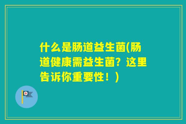 什么是肠道益生菌(肠道健康需益生菌？这里告诉你重要性！)