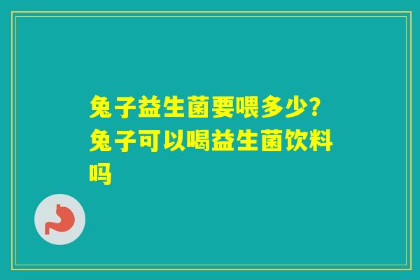 兔子益生菌要喂多少？兔子可以喝益生菌饮料吗