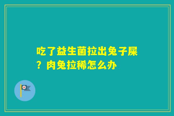 吃了益生菌拉出兔子屎？肉兔拉稀怎么办