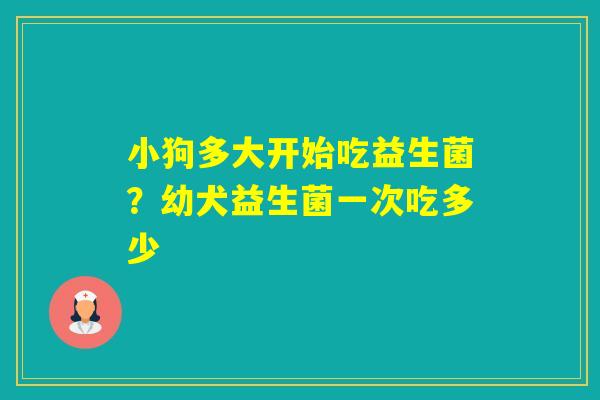 小狗多大开始吃益生菌？幼犬益生菌一次吃多少