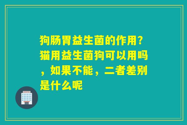 狗肠胃益生菌的作用？猫用益生菌狗可以用吗，如果不能，二者差别是什么呢
