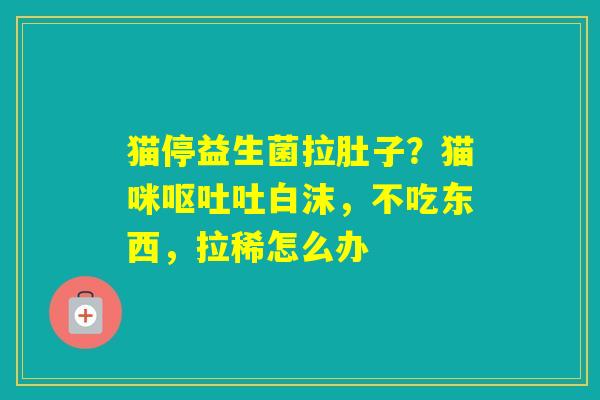 猫停益生菌拉肚子？猫咪吐白沫，不吃东西，拉稀怎么办