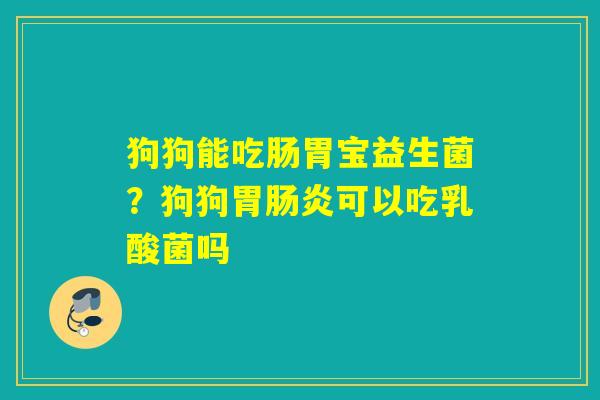 狗狗能吃肠胃宝益生菌？狗狗胃可以吃乳酸菌吗