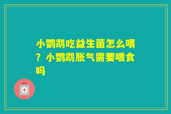 小鹦鹉吃益生菌怎么喂？小鹦鹉需要喂食吗