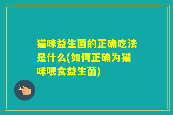 猫咪益生菌的正确吃法是什么(如何正确为猫咪喂食益生菌)