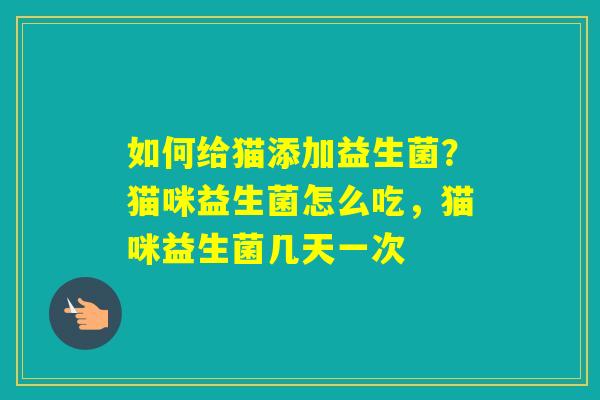如何给猫添加益生菌？猫咪益生菌怎么吃，猫咪益生菌几天一次